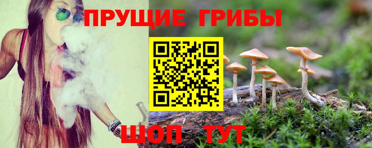 Псилоцибиновые грибы мухоморы Зерноград