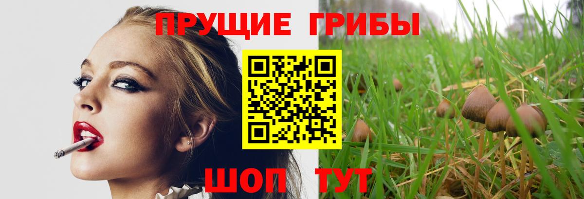 Мефедрон   Зерноград  Гашиш  А ПВП СОЛЬ   Наркошоп  Канабис  Кокаин  Вход с VPN 