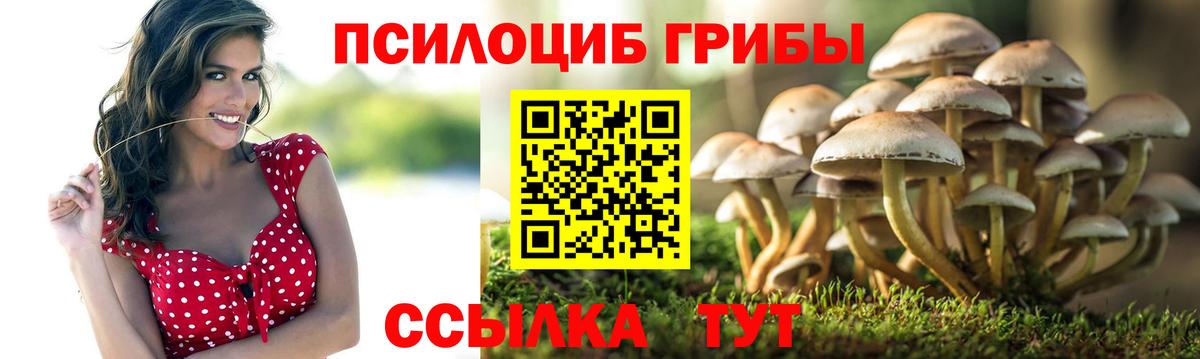 Зерноград  Галлюциногенные грибы GOLDEN TEACHER  Вход с VPN 
