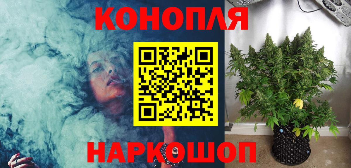 Бошки марихуана планчик  МАРИХУАНА Amnesia  МАРИХУАНА THC 21%  Каннабис планчик  Вход с VPN  Зерноград 